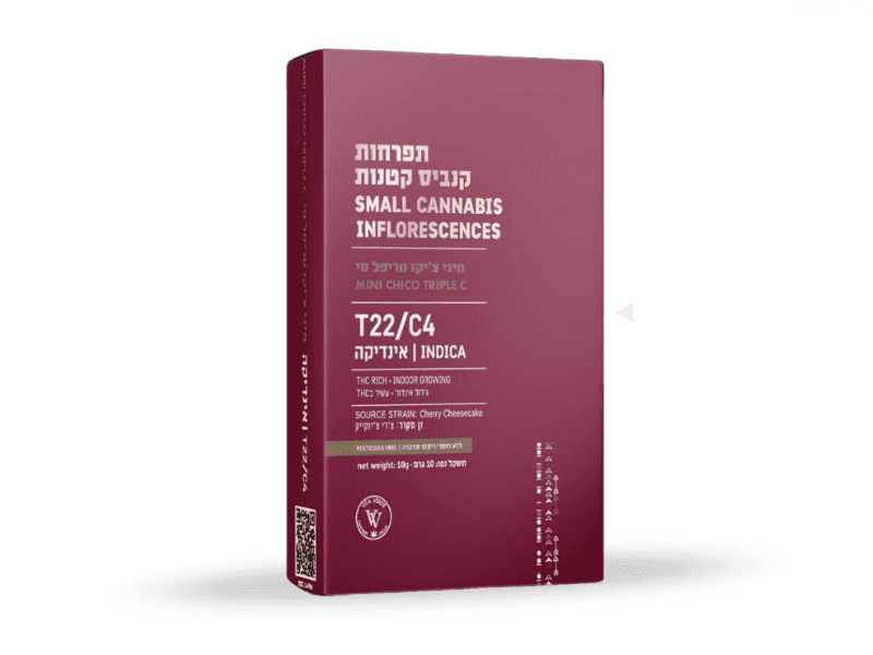 קנאביס רפואי תפרחת טריפל סי צ'יקו מיני - T22/C4 - Triple C Chico Mini ויטה ורדה לילה - אינדיקה