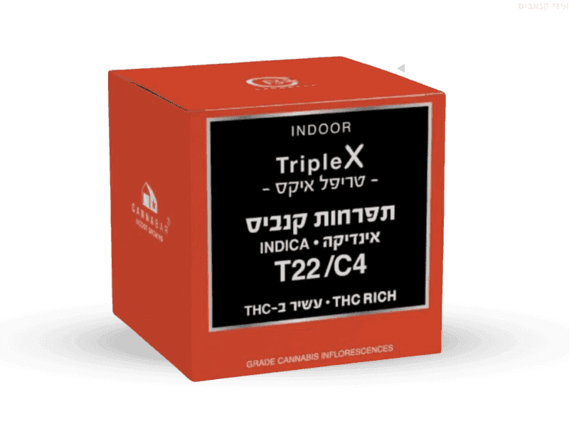 קנאביס רפואי תפרחת טריפל איקס - T22/C4 - Triple X קנאבר לילה - אינדיקה