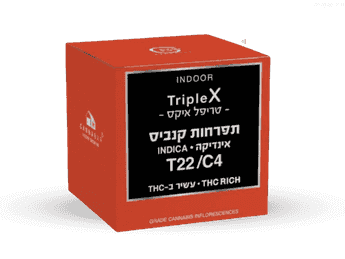 תפרחת טריפל איקס - T22/C4 - Triple X