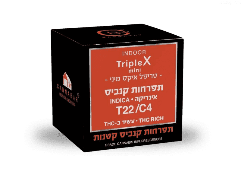 תפרחת טריפל איקס מיני - T22/C4 - Triple X Mini