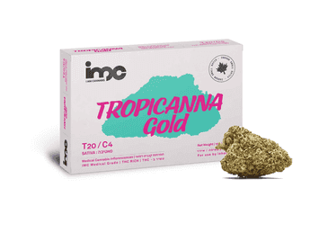 תפרחת טרופיקנה גולד - T20/C4 - Tropicanna Gold