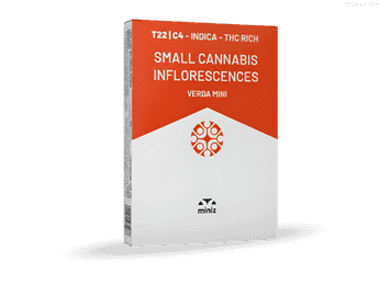 תפרחת ורדה מיני - T22/C4 - Verda Mini