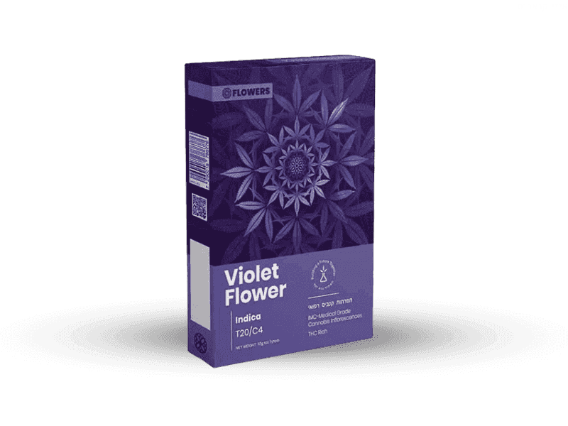 קנאביס רפואי תפרחת ויולט פלאוור - T20/C4 - Violet Flower טוגדר פארמה לילה - אינדיקה