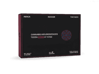 תפרחת וואדו - T22/C4 - Wado