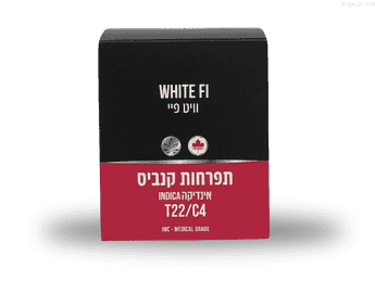 תפרחת וויט פיי - T22/C4 - White Fi