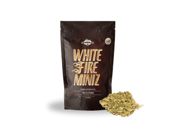 תפרחת ווייט פייר מיניז - T20/C4 - White Fire Miniz