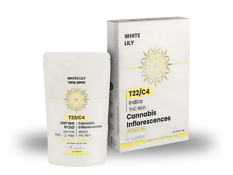 קנאביס רפואי תפרחת ווייט לילי - T22/C4 - White Lily טוגדר פארמה לילה - אינדיקה
