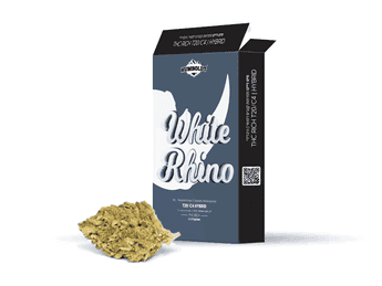 תפרחת ווייט ריינו - T20/C4 - White Rhino