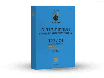 תפרחת וואי.אל 18 - T22/C4 - Y.L 18