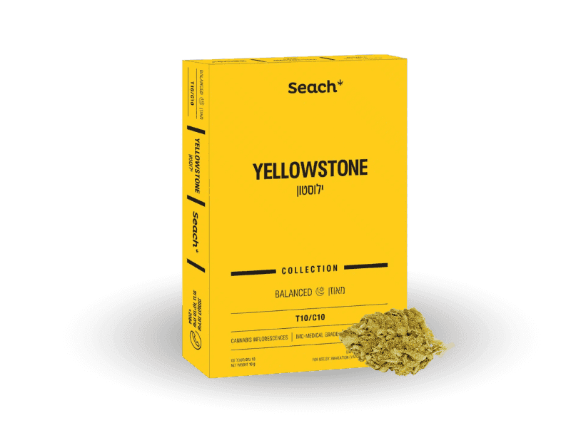תפרחת ילוסטון - T20/C4 - Yellowstone