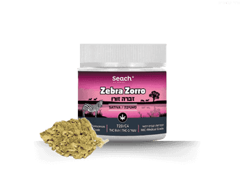 תפרחת זברה זורו - T20/C4 - Zebra Zorro