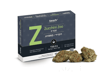 תפרחת זוקיני זו - T20/C4 - Zucchini Zoo