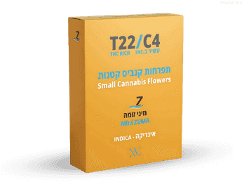 תפרחת זומה מיני - T22/C4 - Zuma Mini