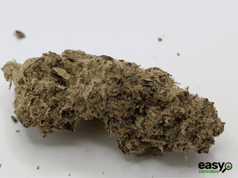 קנאביס רפואי תפרחת בלאק הוב - T22/C4 - BLACK HOB איי.אמ.סי לילה - אינדיקה