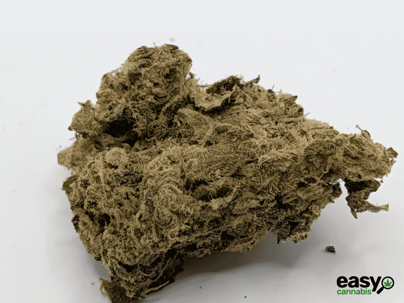 קנאביס רפואי תפרחת פאנק פי - T22/C4 - Fank P איי.אמ.סי יום - סאטיבה