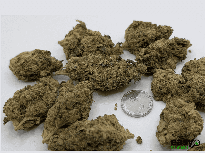 קנאביס רפואי תפרחת פאנק פי - T22/C4 - Fank P איי.אמ.סי יום - סאטיבה