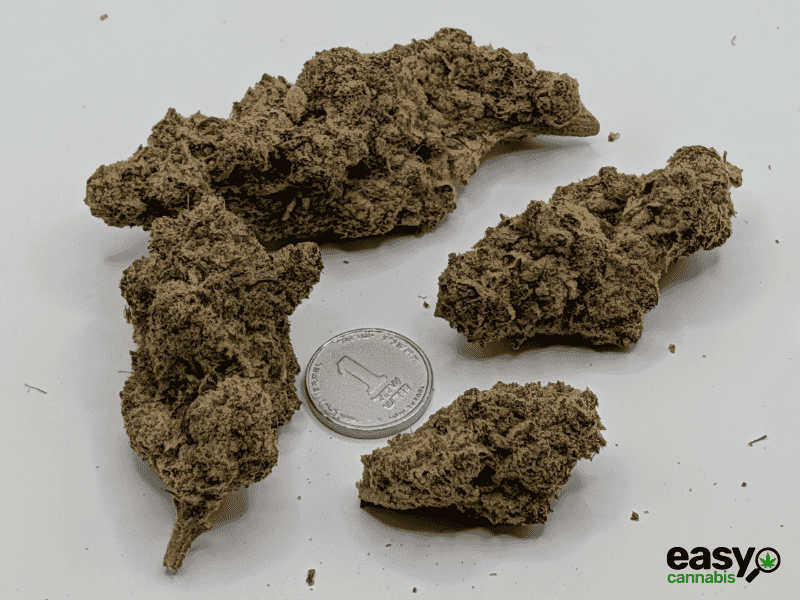 קנאביס רפואי תפרחת בלאק הוב - T22/C4 - BLACK HOB איי.אמ.סי לילה - אינדיקה