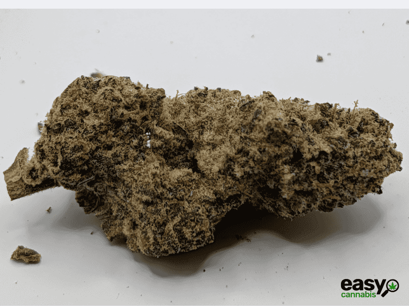 קנאביס רפואי תפרחת בלאק הוב - T22/C4 - BLACK HOB איי.אמ.סי לילה - אינדיקה