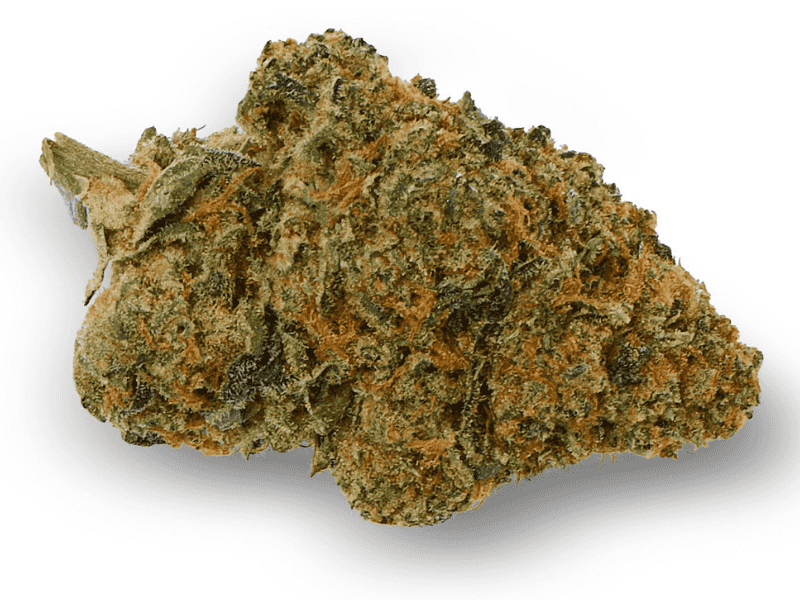 קנאביס רפואי תפרחת דון קוש - T22/C4 - DON KUSH איי.אמ.סי לילה - אינדיקה