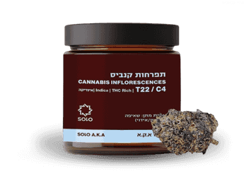 תפרחת סולו א.ק.א - T22/C4 - SOLO A.K.A