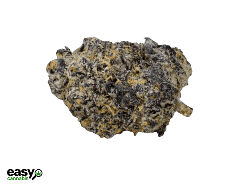 קנאביס רפואי תפרחת סולו א.ק.א - T22/C4 - SOLO A.K.A מדוקאן לילה - אינדיקה