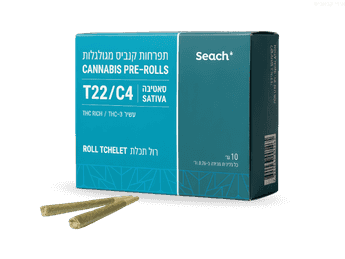 גליליות תכלת - T22/C4 - Tchelet