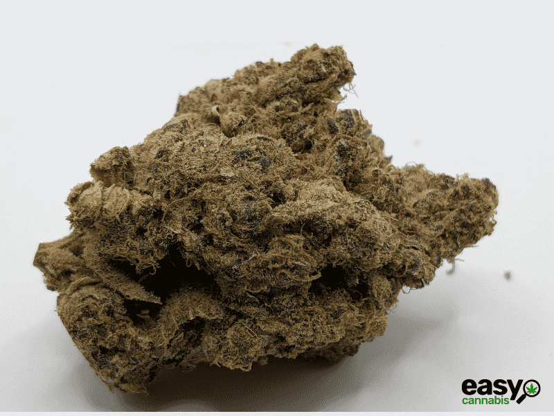 קנאביס רפואי תפרחת סינקיי - T22/C4 - SINKEY איי.אמ.סי יום - סאטיבה