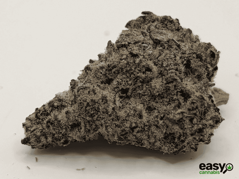 קנאביס רפואי תפרחת בלק קאבר - T22/C4 - BLK Cavar איי.אמ.סי לילה - אינדיקה