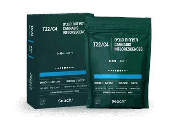 תפרחת די-424 - T22/C4 - D-424