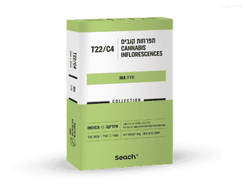 תפרחת אירה - T22/C4 - Ira