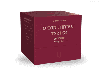 תפרחת ג'י אר.פי קווסט - T22/C4 - Qwest GR.P