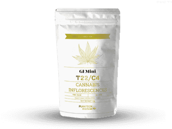 תפרחת ג'י.איי מיני - T22/C4 - GI Mini