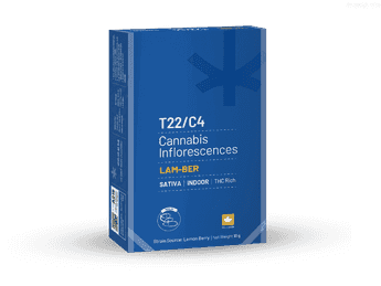 תפרחת למ-בר - T22/C4 - Lam-Ber