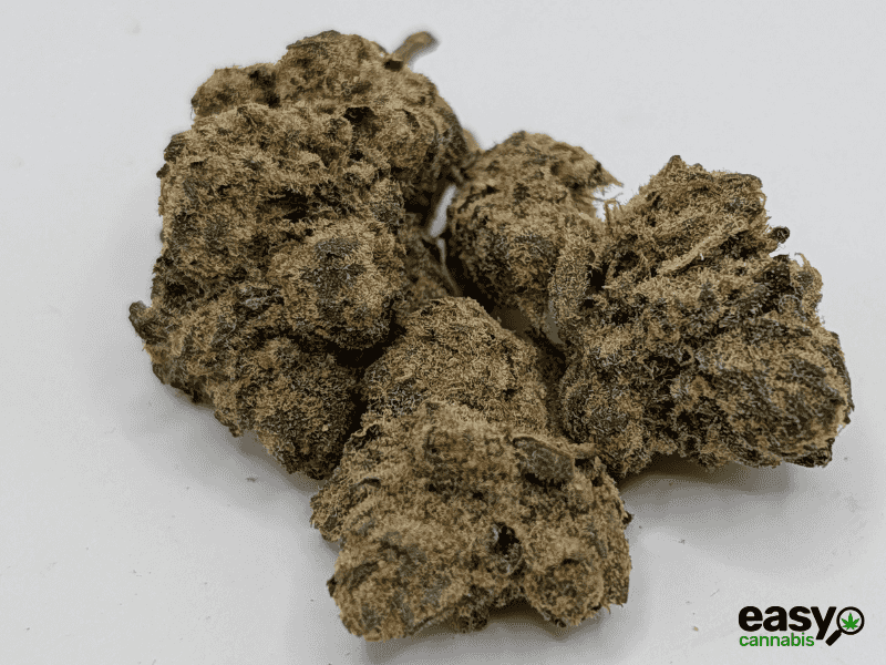 קנאביס רפואי תפרחת מד דוג - T22/C4 - Mad Dog גרינקום לילה - אינדיקה