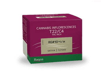 תפרחת אר ג'י 10 - T22/C4 - RG 10