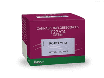 תפרחת אר ג'י 11 - T22/C4 - RG 11