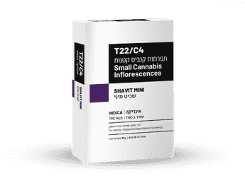 תפרחת שביט מיני - T22/C4 - SHAVIT MINI