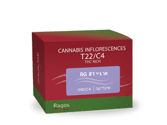 תפרחת אר ג'י 1 - T22/C4 - RG 1