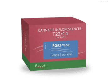 תפרחת אר ג'י 2 - T22/C4 - RG 2