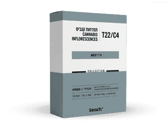 תפרחת ארלו - T22/C4 - Arlo