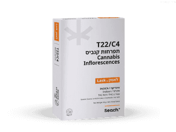 תפרחת לאסק - T22/C4 - Lask