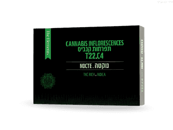 תפרחת נוקטה - T22/C4 - Nocte