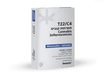 תפרחת מטנוסקה - T22/C4 - Matanuska