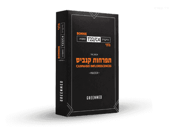 תפרחת בוני - T22/C4 - Bonnie