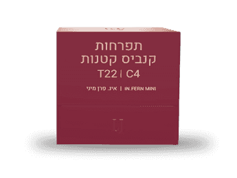 תפרחת אינ. פרן מיני - T22/C4 - In.Fern Mini