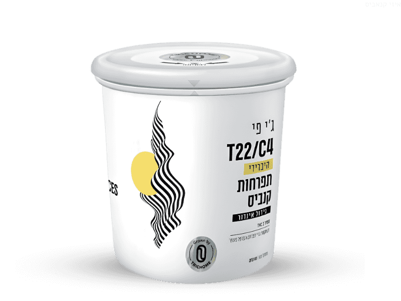 קנאביס רפואי פחית ג'י פי (GP) - T22/C4 - GP טריכום יום\לילה - היברידי