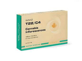 תפרחת דאבליו.אם.זי - T22/C4 - W.M.Z