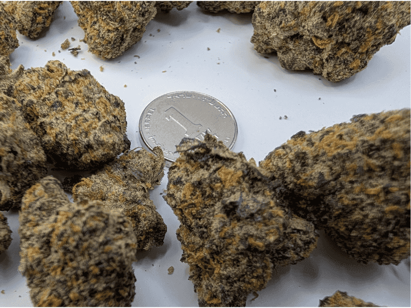 קנאביס רפואי תפרחת סולו אוניקס - T22/C4 - Solo Onix מדוקאן יום\לילה - היברידי