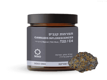 תפרחת סולו אוניקס - T22/C4 - Solo Onix