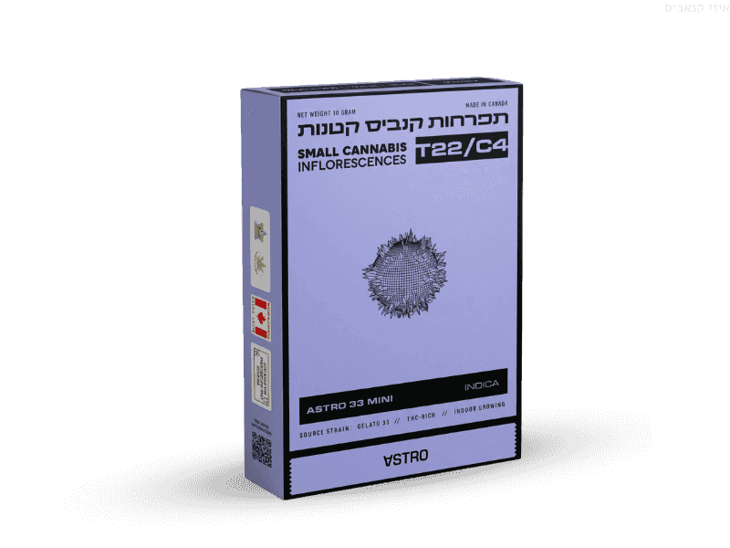 קנאביס רפואי תפרחת אסטרו 33 מיני - T22/C4 - Astro 33 Mini טוגדר פארמה לילה - אינדיקה